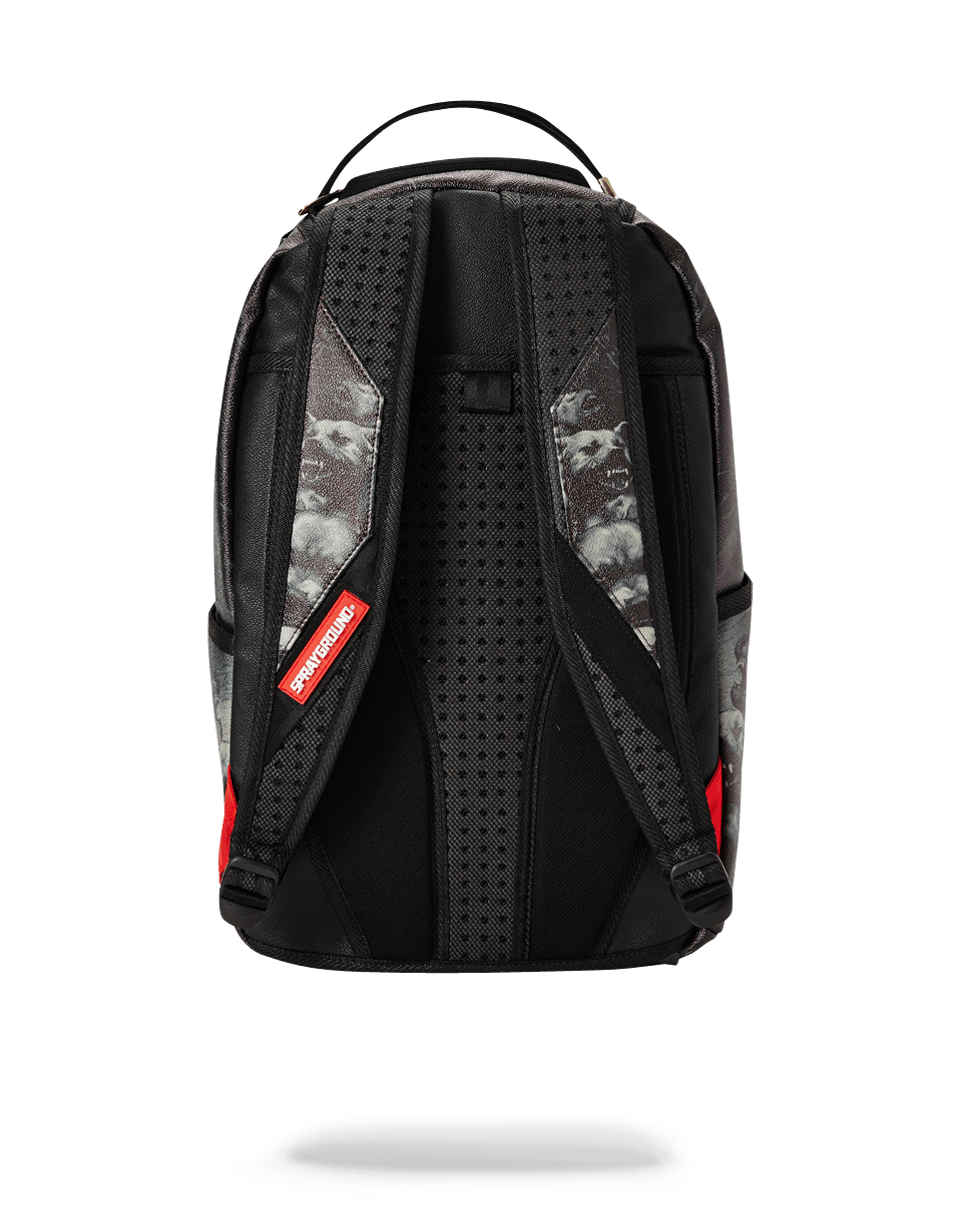 SPRAYGROUND PITBULLS