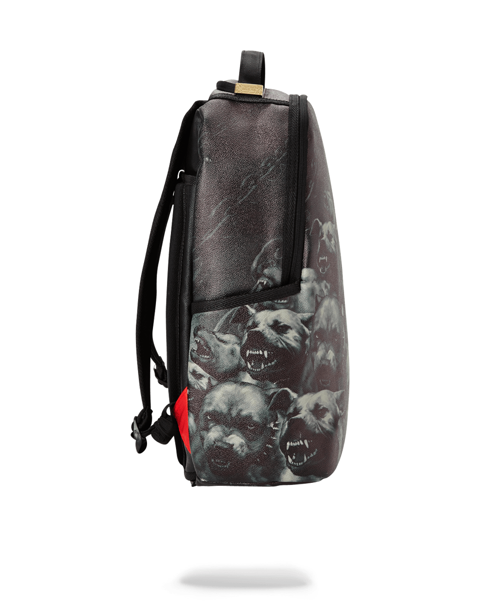SPRAYGROUND PITBULLS