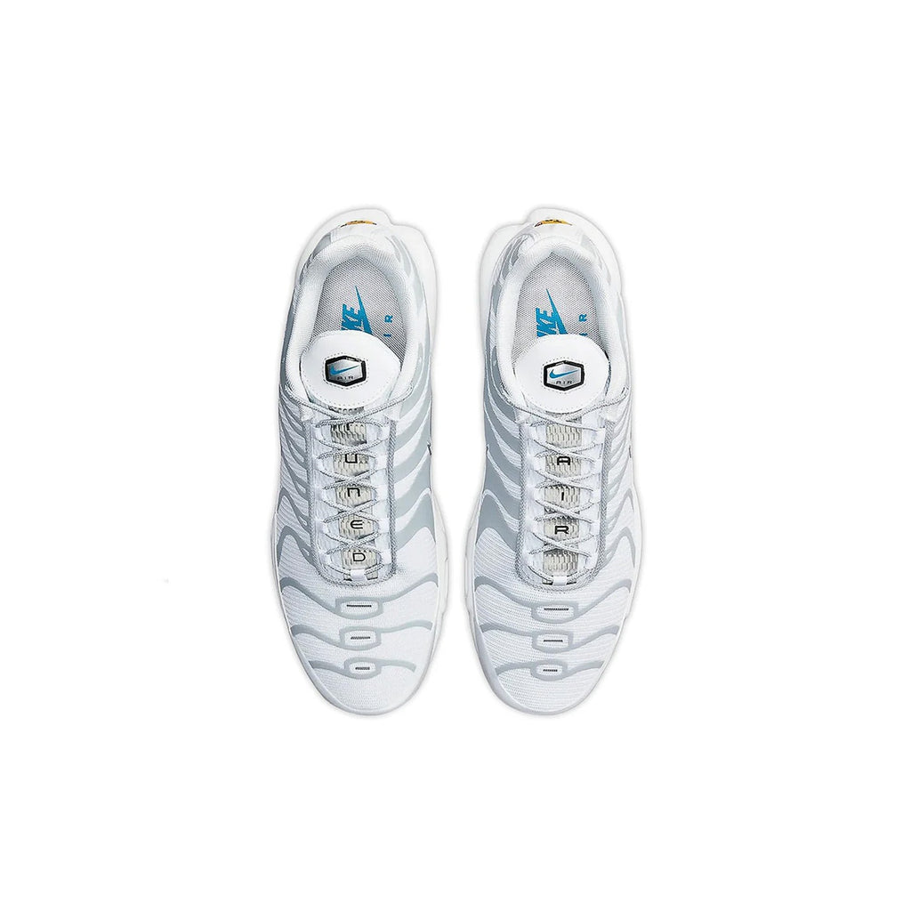 Nike Air Max Plus TN 'Grind Light Smoke Grey'