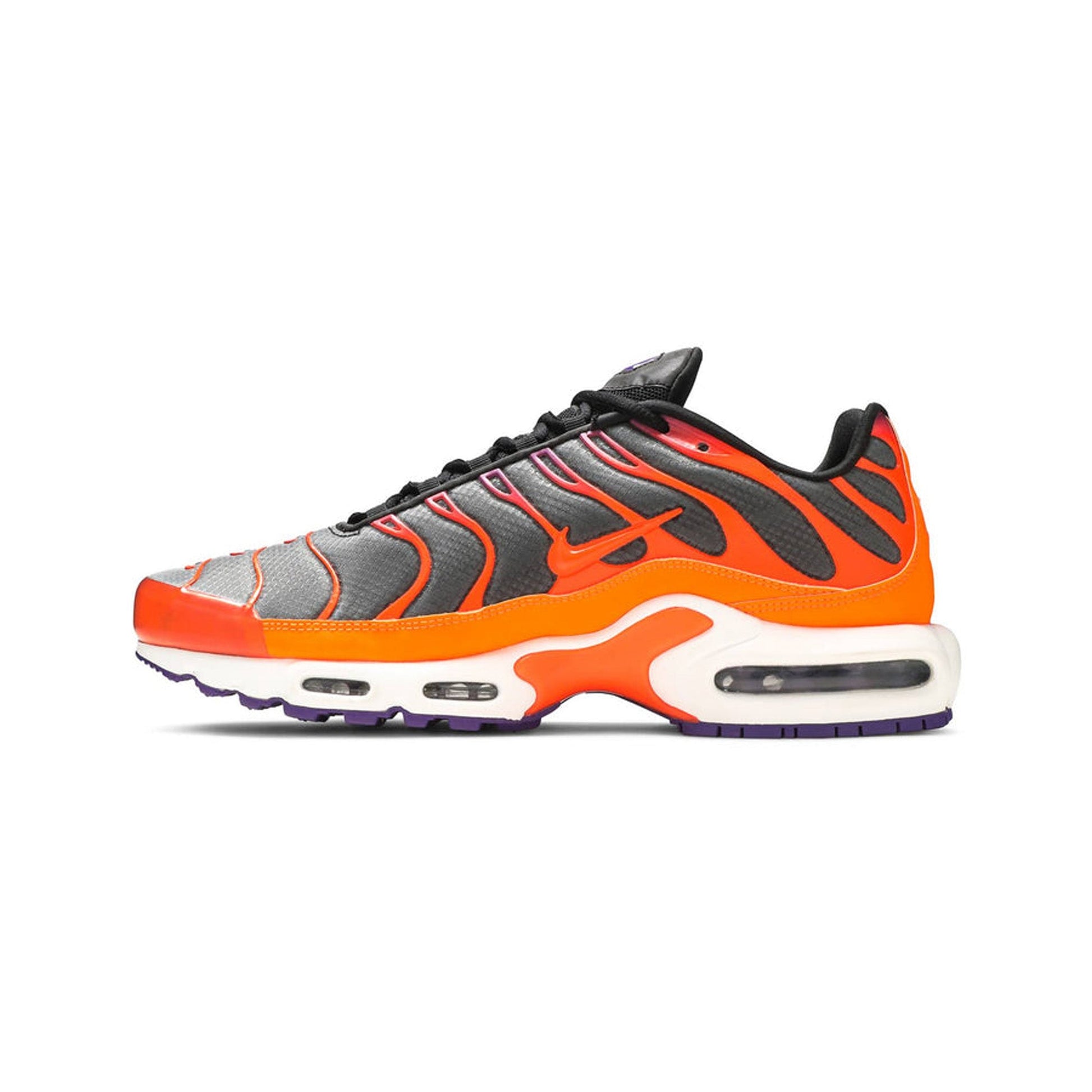 Air Max Plus TN 'Dark Colour Flip'