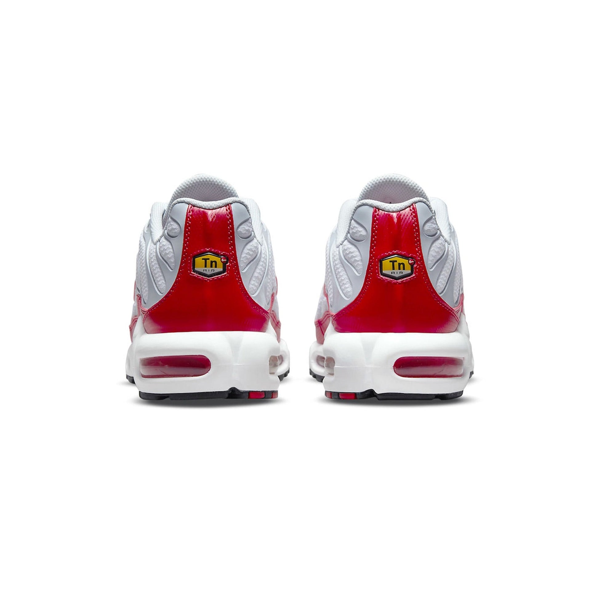 Air Max TN Plus 'Air Max 1'