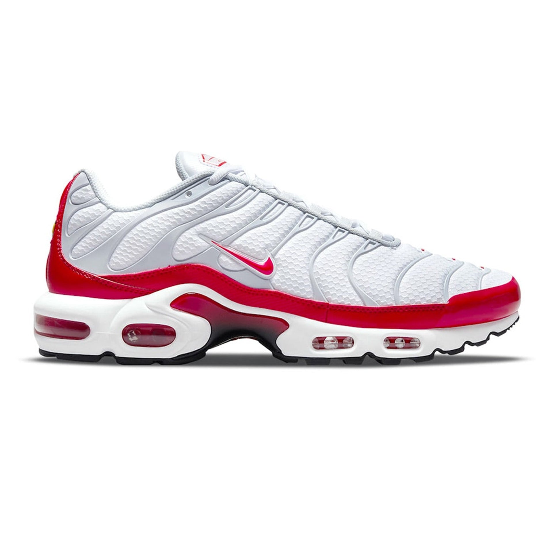 Air Max TN Plus 'Air Max 1'