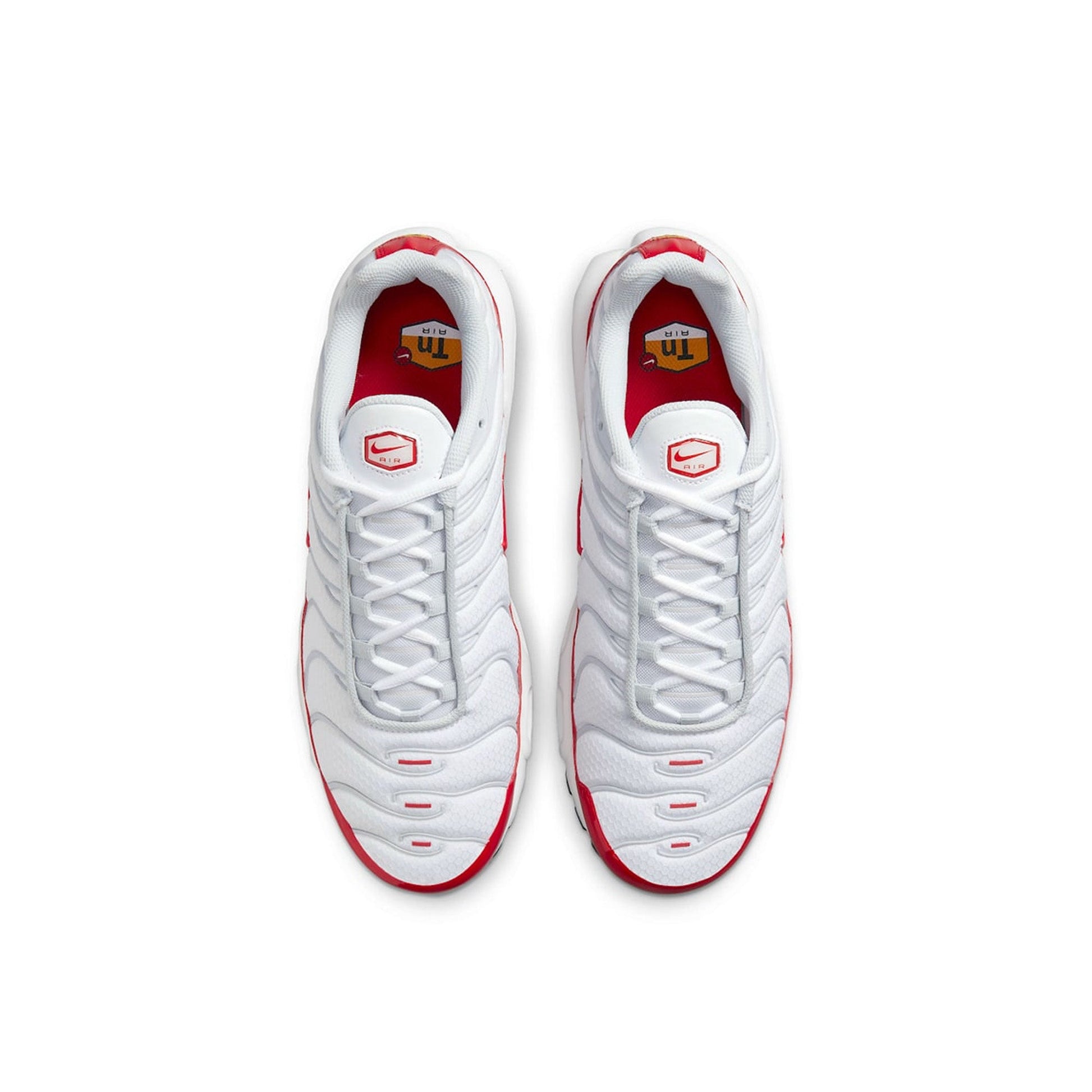 Air Max TN Plus 'Air Max 1'