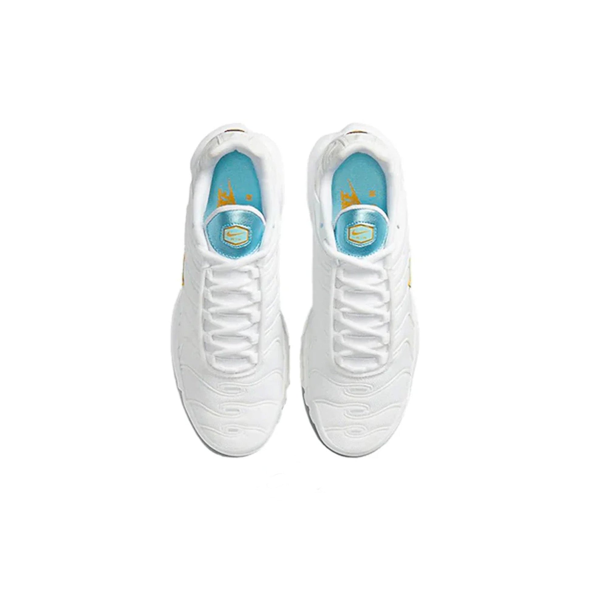 Air Max TN Plus 'Glacier Blue' W