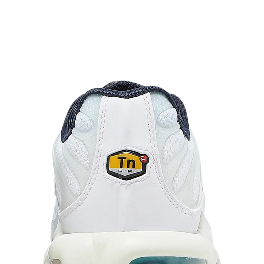 Air Max TN Plus 'Psychic Blue'