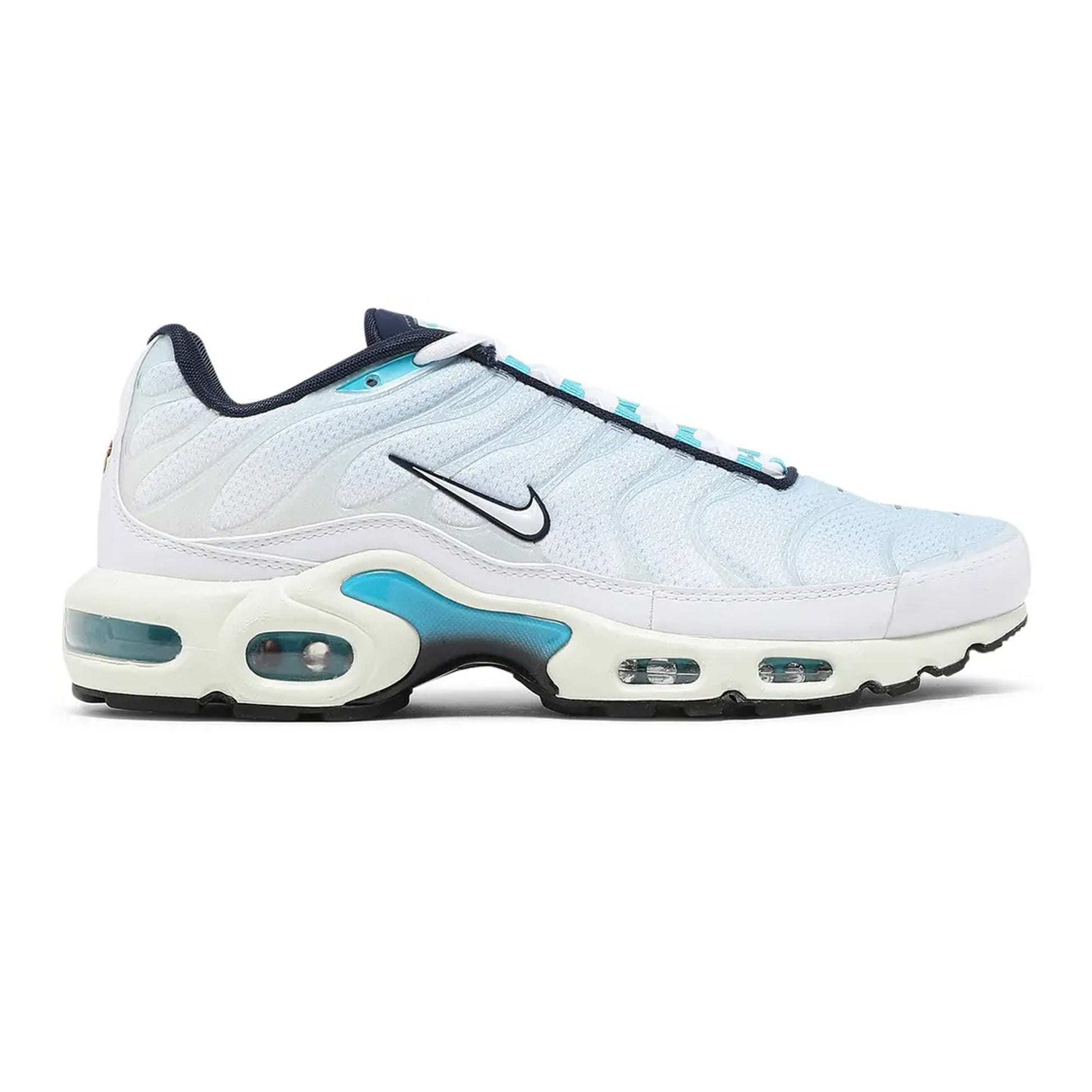Air Max TN Plus 'Psychic Blue'