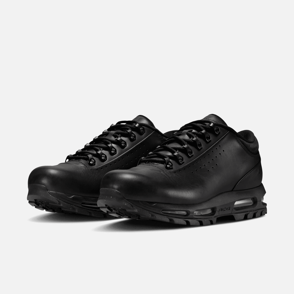 Nike Air Max Goadome Low Black