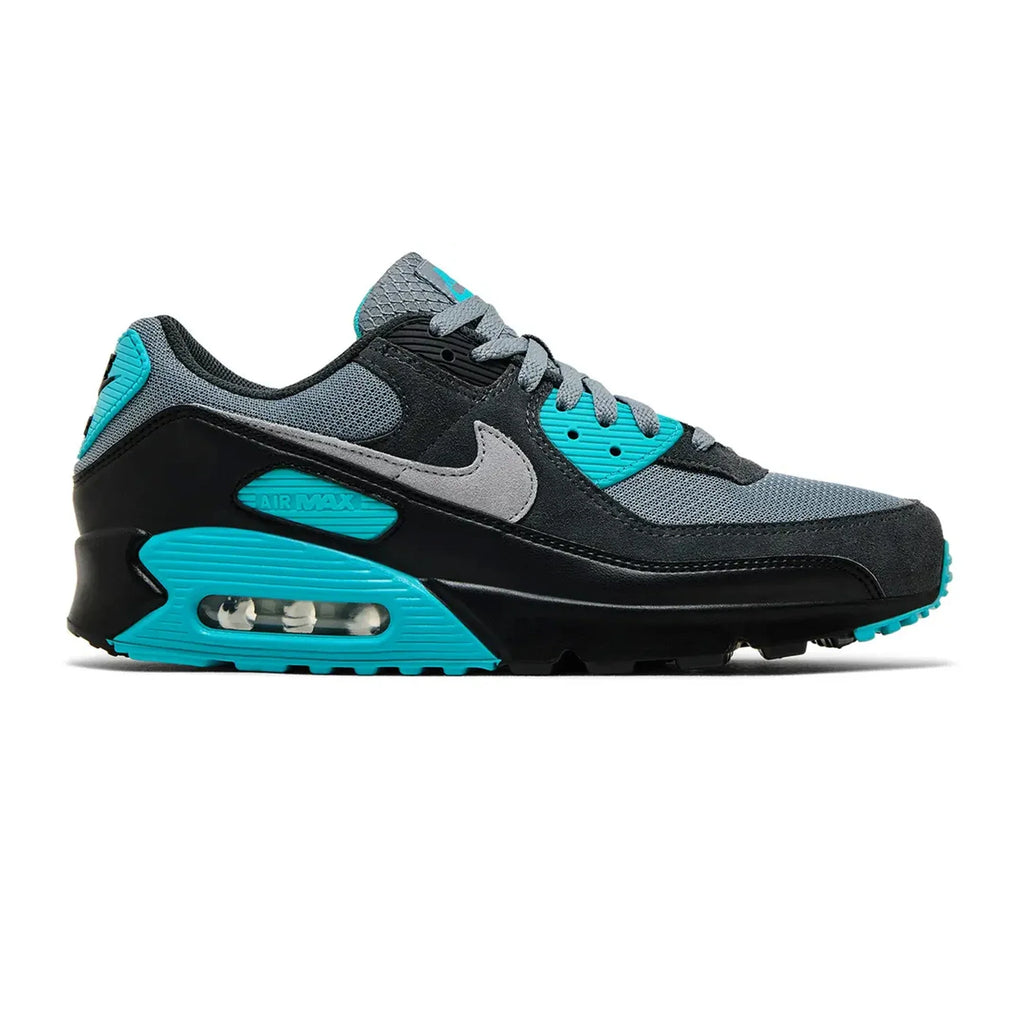 Nike Air Max 90 'Cool Grey Dusty Cactus Black Wolf Grey' (2025)