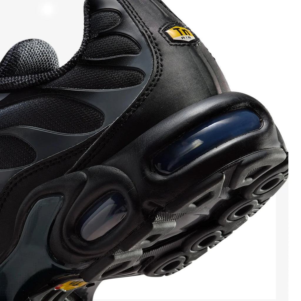 Nike Air Max Plus TN 'Black Metallic Silver' (2025)