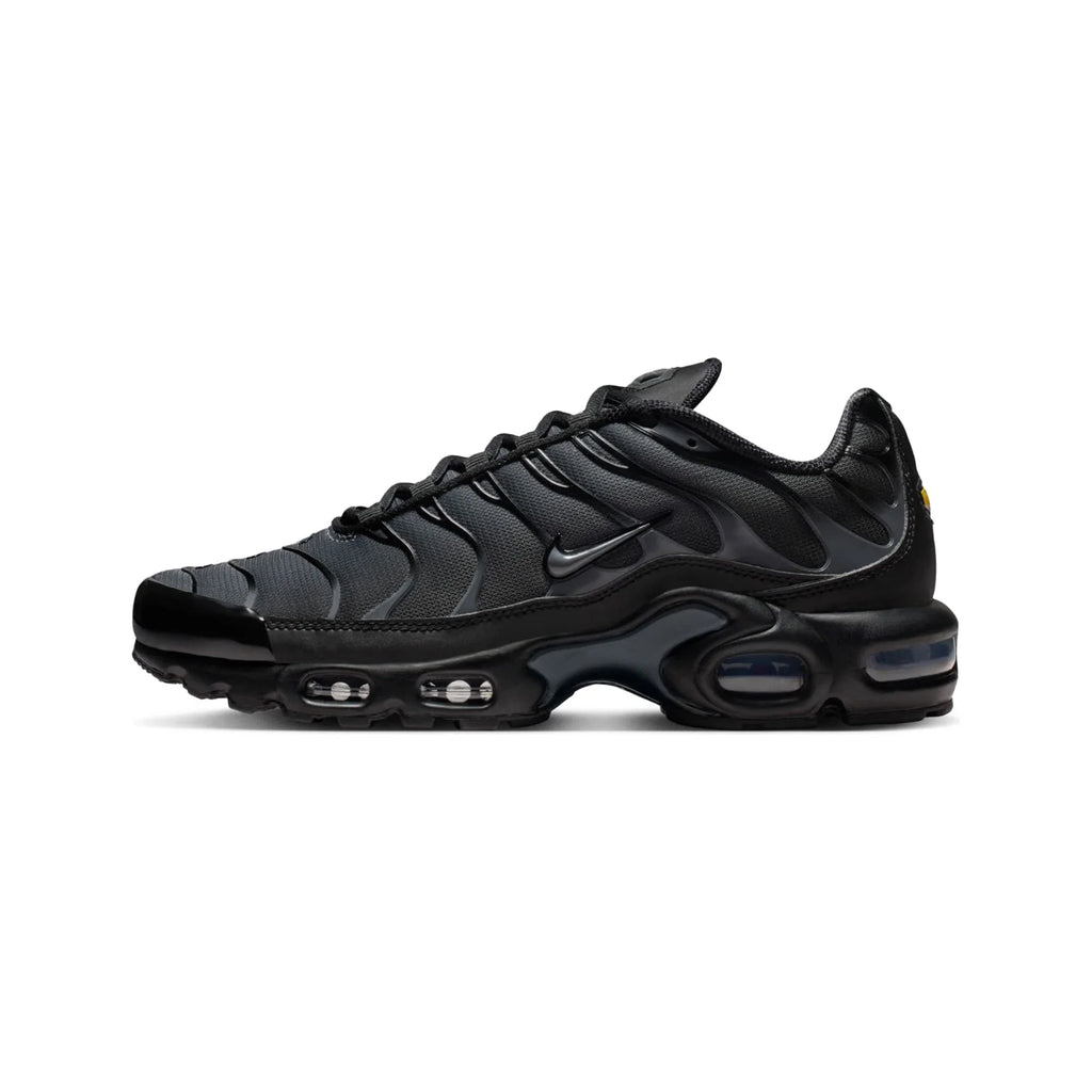 Nike Air Max Plus TN 'Black Metallic Silver' (2025)