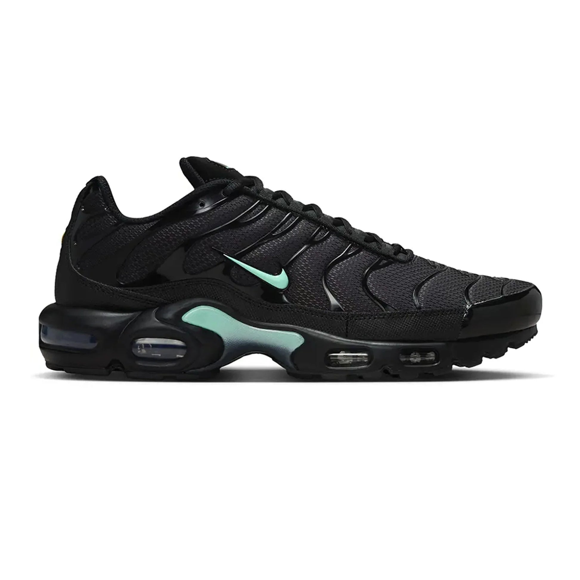 Nike Air Max Plus TN 'Black Mint Green' (2023)