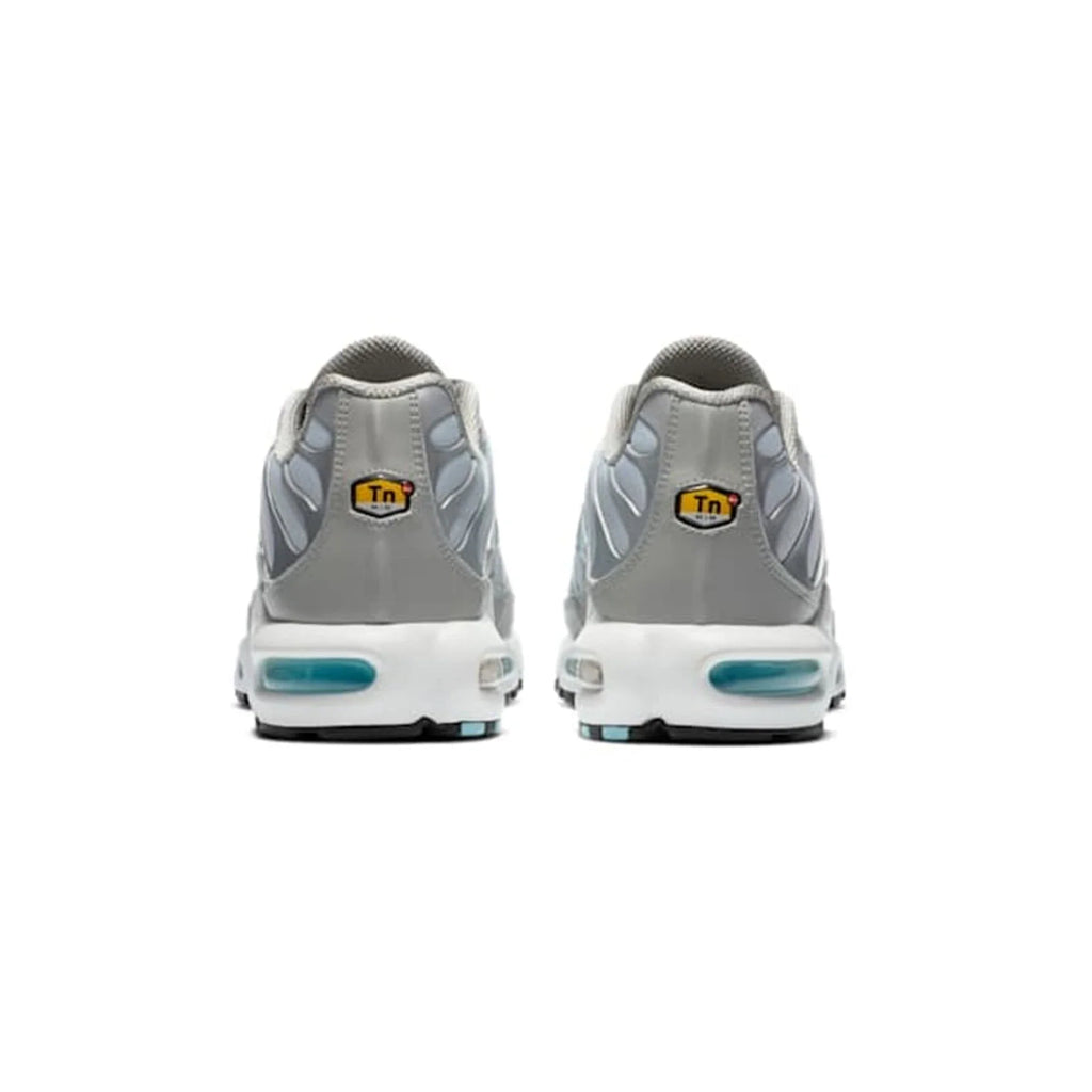 Nike Air Max Plus TN 'Light Smoke Grey Glacier Ice' (2020)