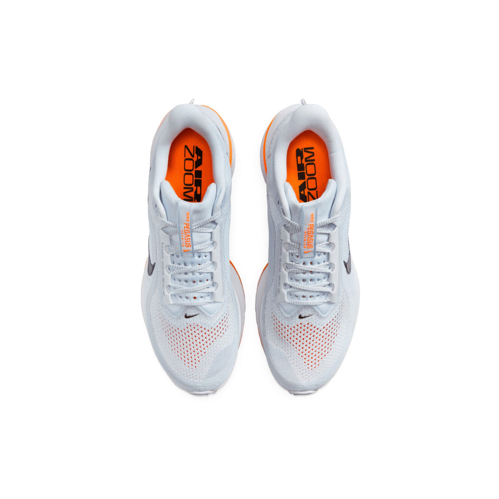 Nike Air Zoom Pegasus Premium 'Airscape' (2025)