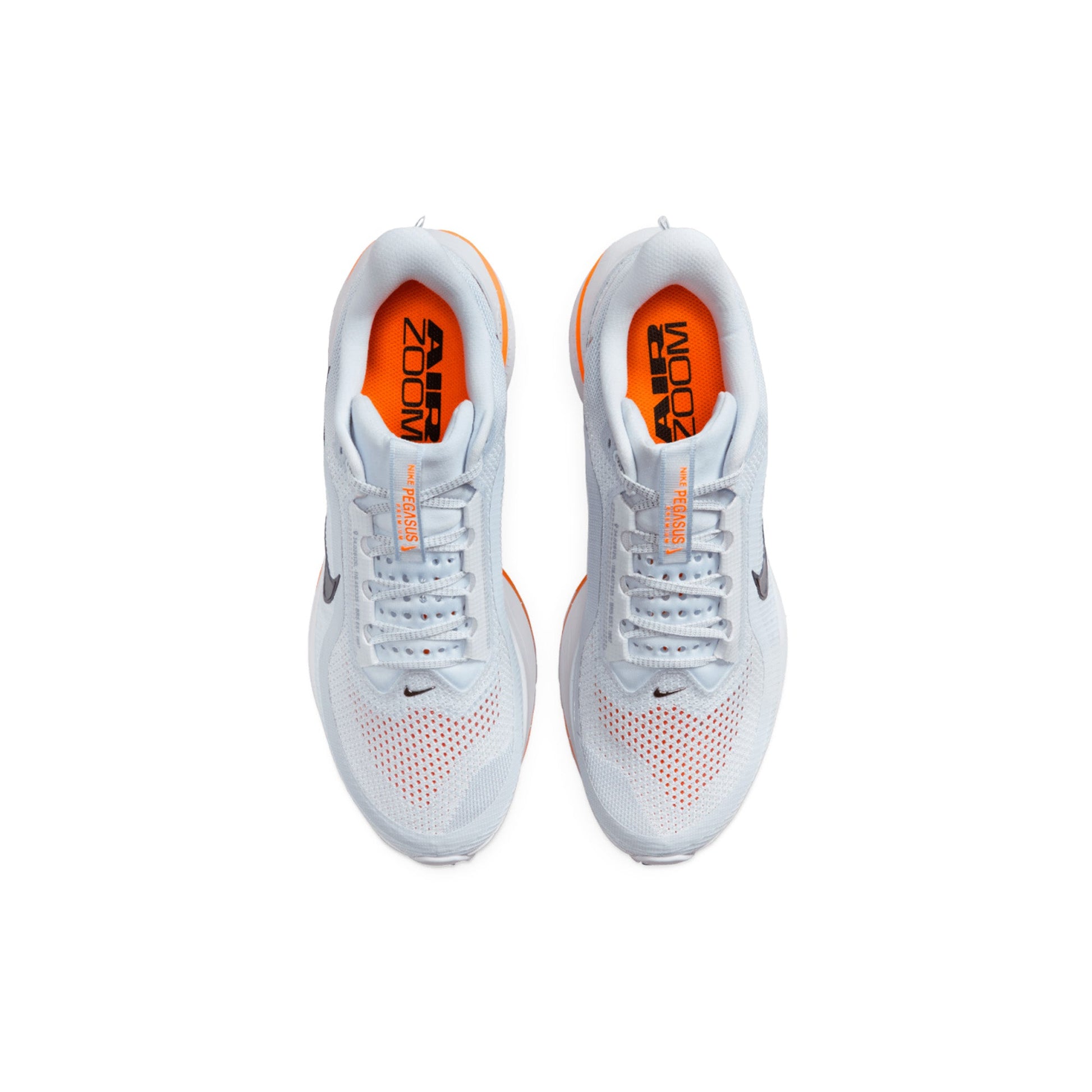 Nike Air Zoom Pegasus Premium 'Airscape' (2025)