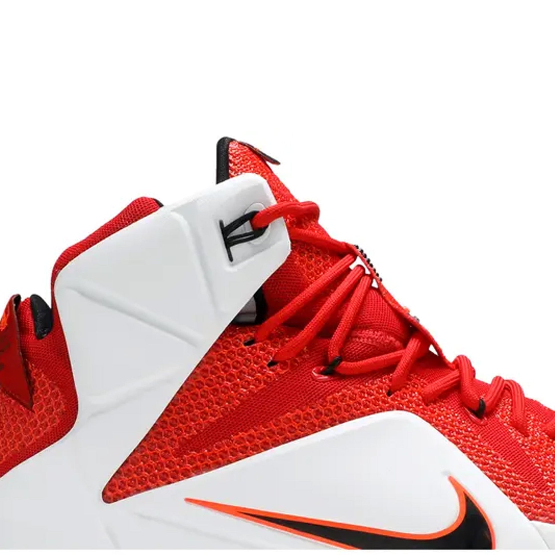 Nike LeBron 12 'Heart of a Lion' (2014)