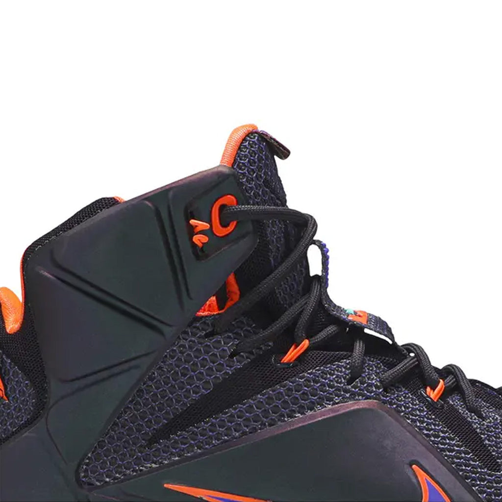 Nike LeBron 12 'Instinct' (2014)