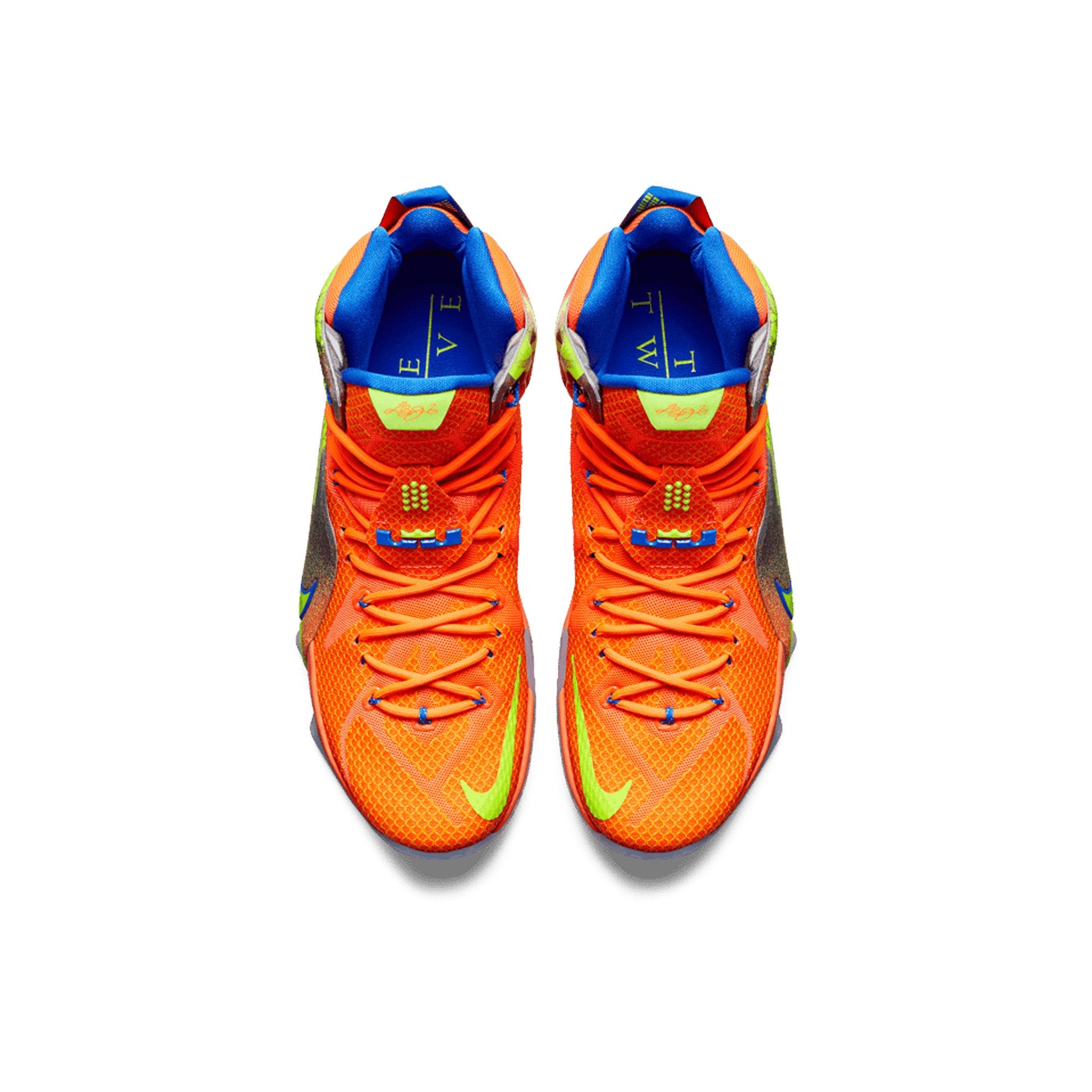Nike LeBron 12 'Six Meridians' (2014)
