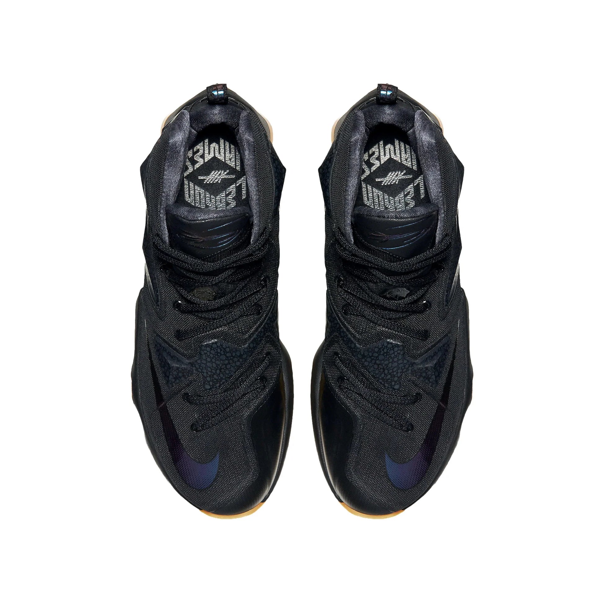 Nike LeBron 13 'Black Lion' (2016)