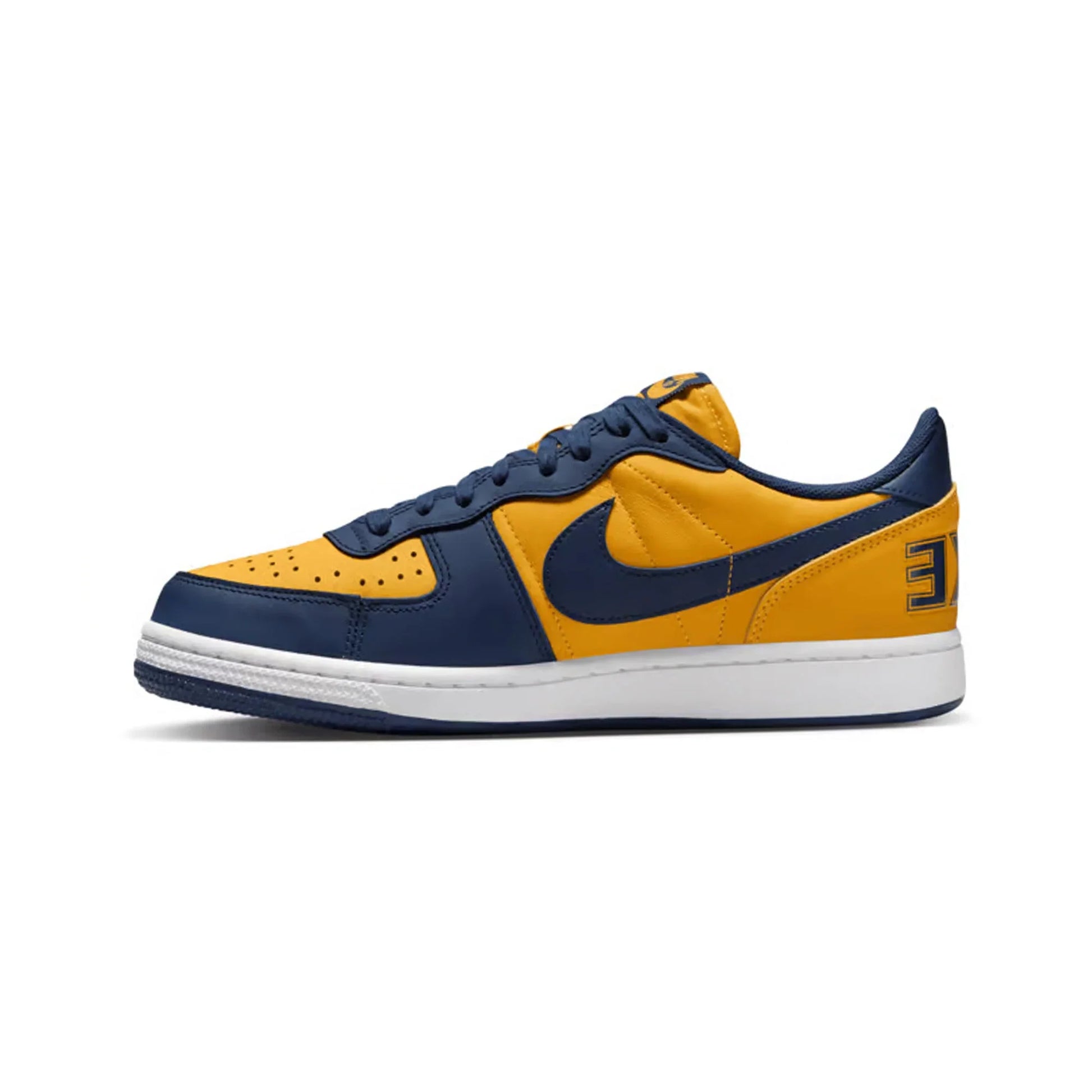 Nike Terminator Low 'Michigan' (2023)