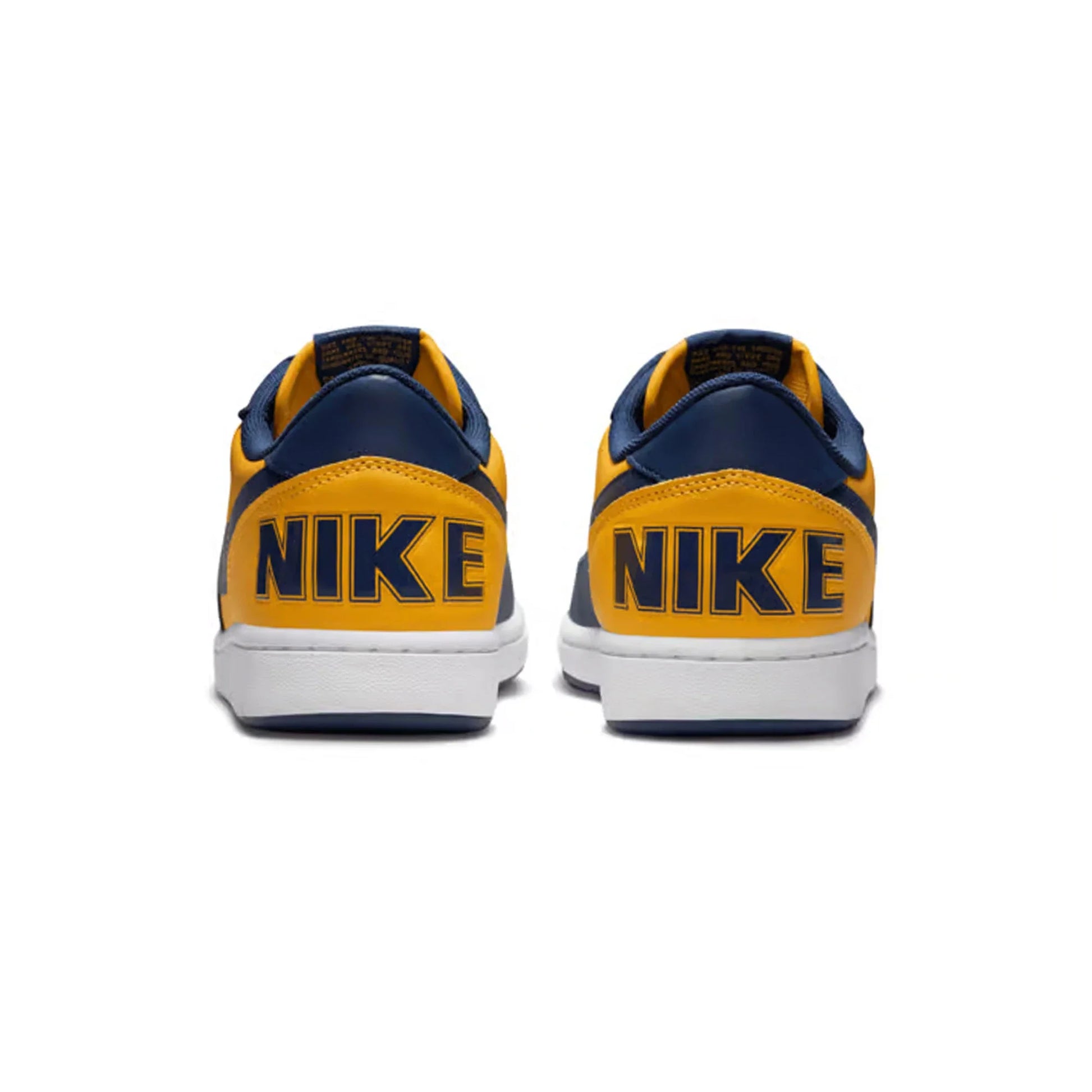 Nike Terminator Low 'Michigan' (2023)