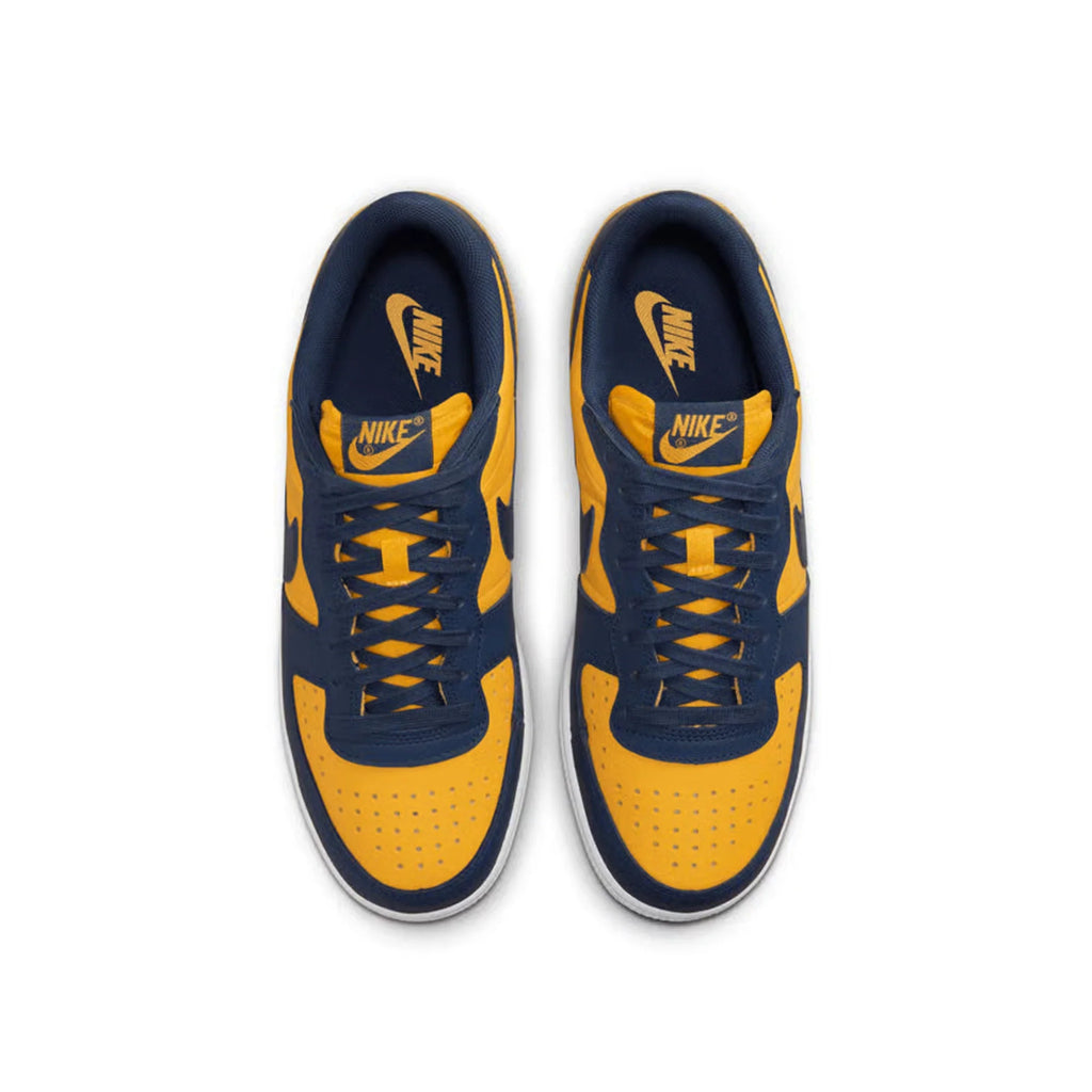 Nike Terminator Low 'Michigan' (2023)
