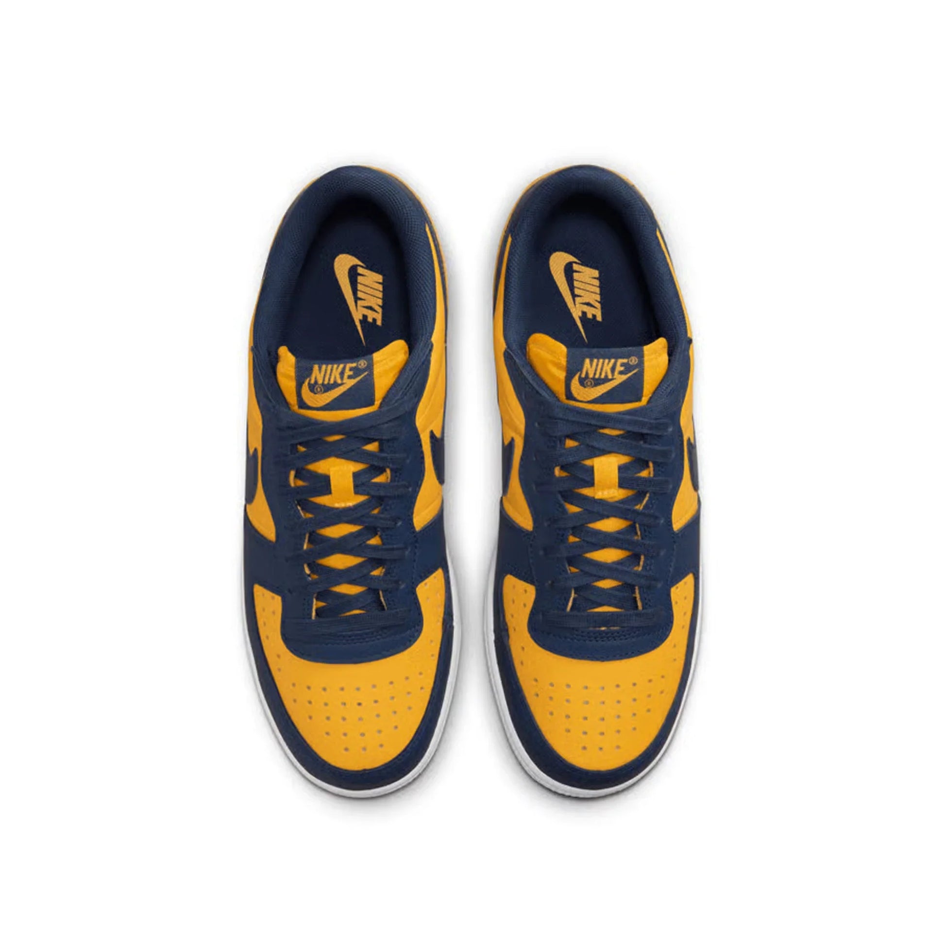 Nike Terminator Low 'Michigan' (2023)