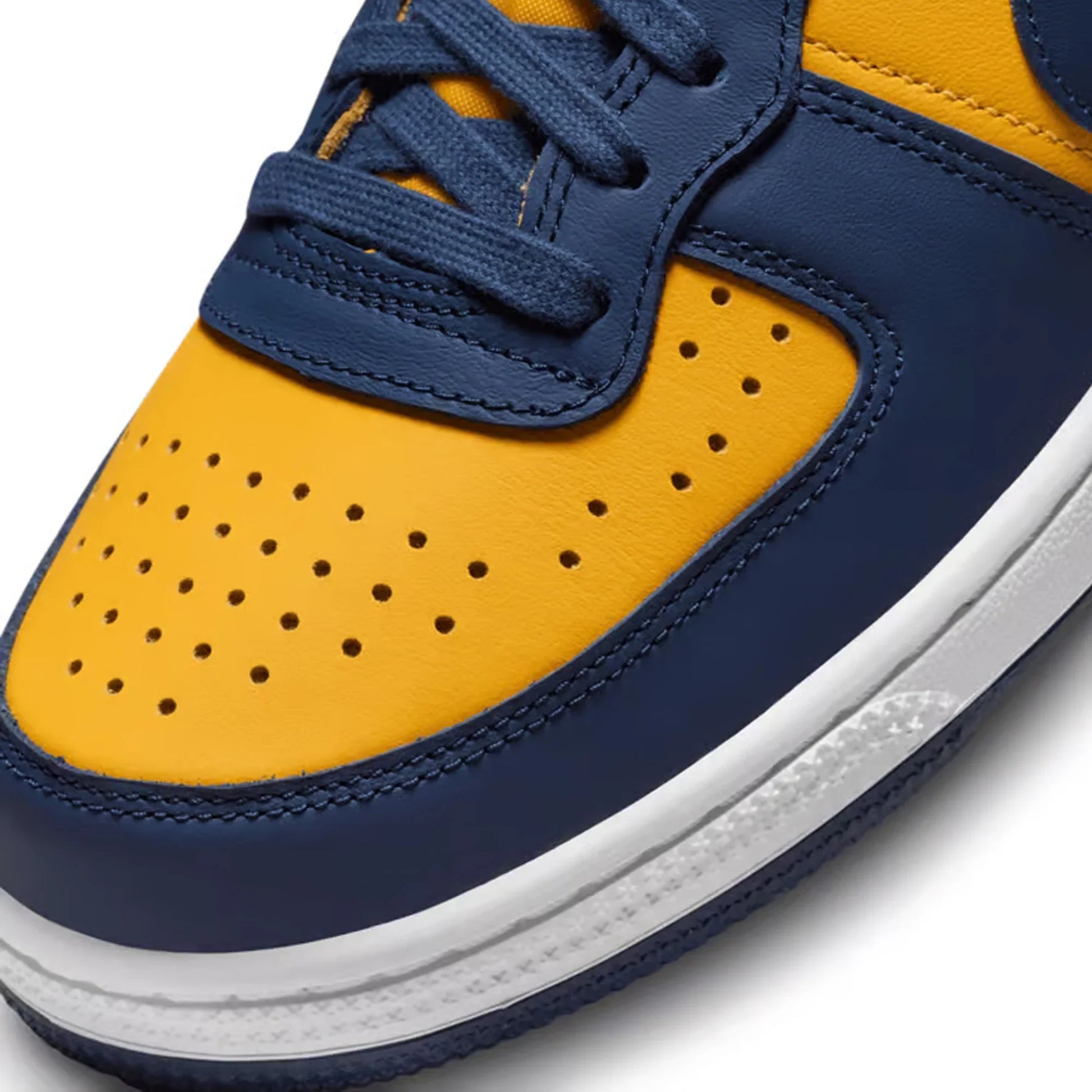 Nike Terminator Low 'Michigan' (2023)