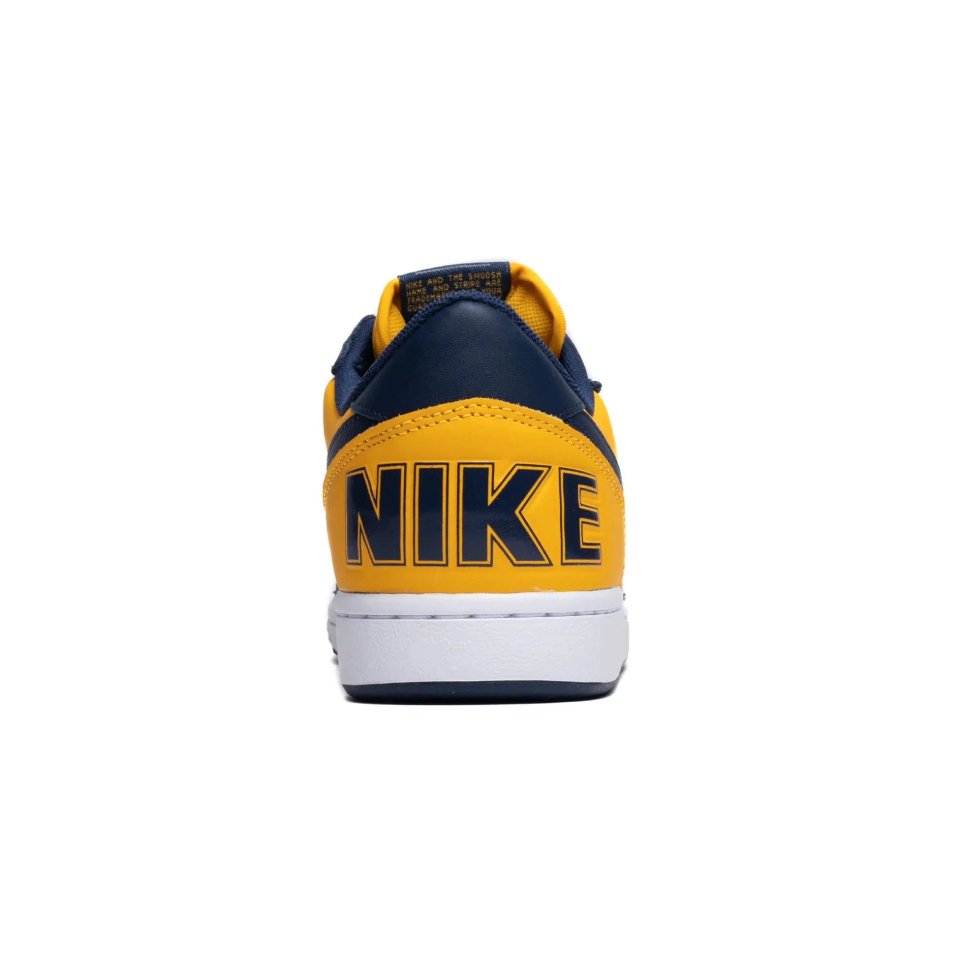 Nike Terminator Low 'Michigan' (2023)