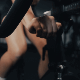 CYCLE XL